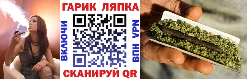 где можно купить   Губаха  ГАШ hashish 