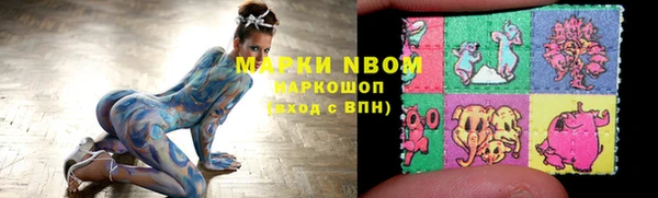 шишки Няндома