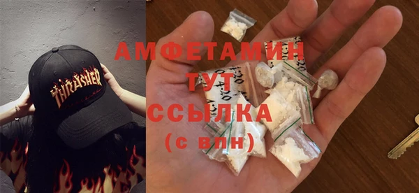 шишки Няндома