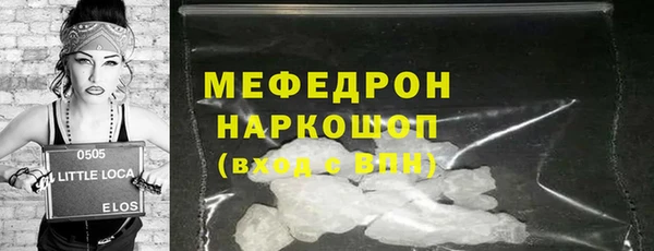 шишки Няндома