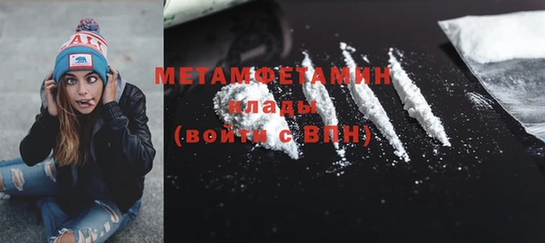 шишки Няндома