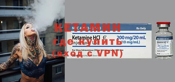 шишки Няндома