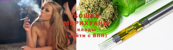 шишки Няндома