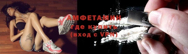 шишки Няндома