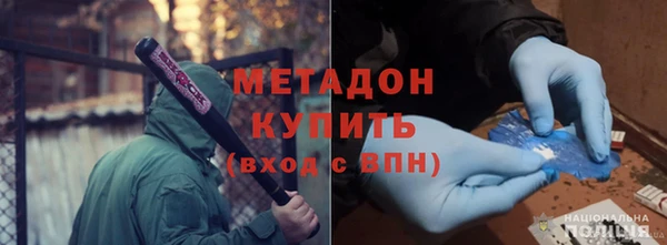 шишки Няндома