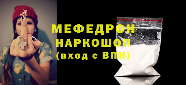 шишки Няндома