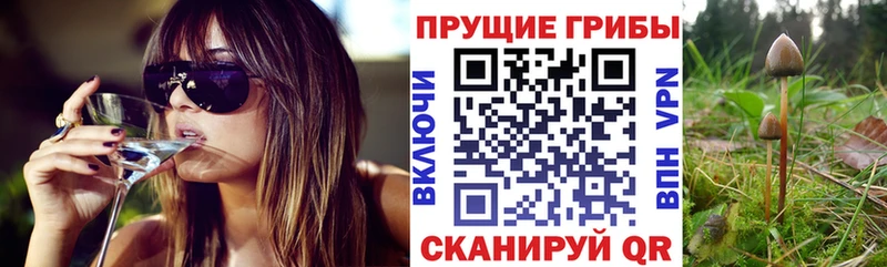 darknet телеграм hydra рабочий сайт Псилоцибиновые грибы ЛСД Губаха как найти закладки