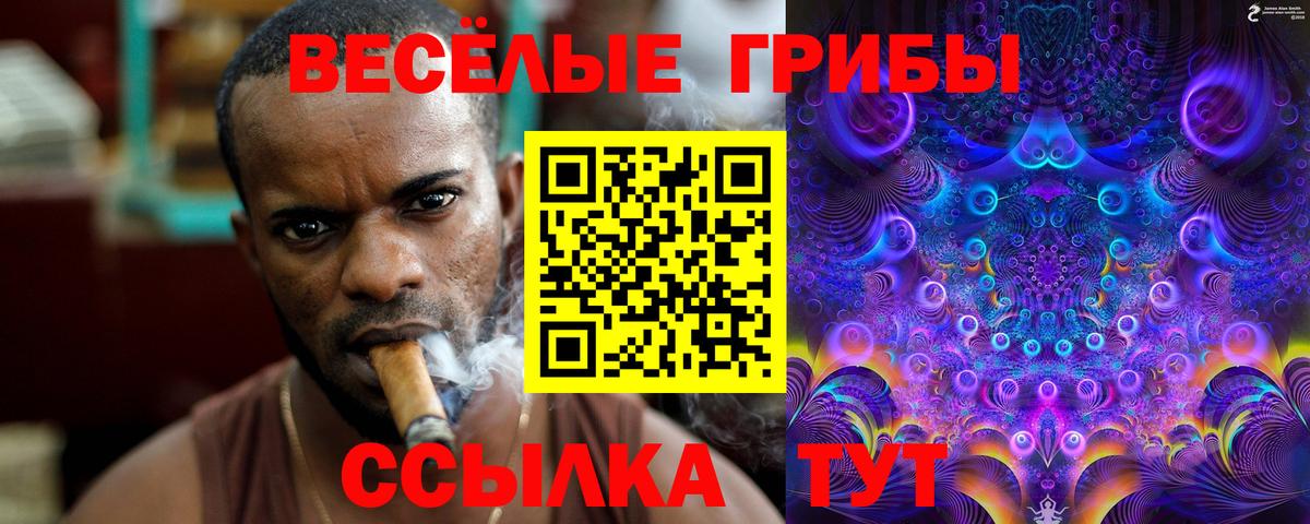 Губаха  наркотики  Вход с VPN  Псилоцибиновые грибы Psilocybine cubensis 