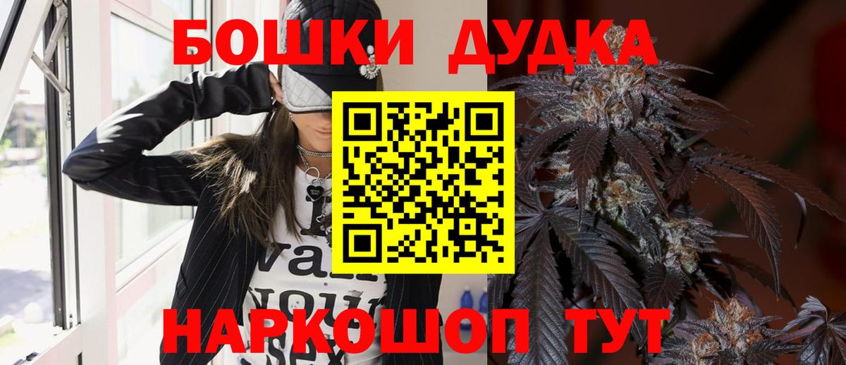 Канабис конопля Губаха